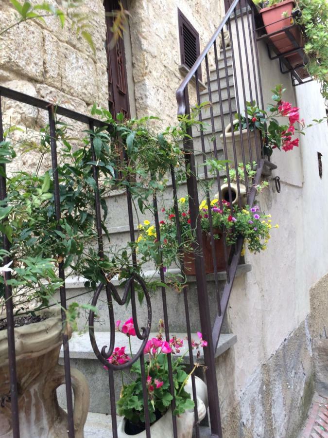 Casetta Di San Martino تاركوينيا المظهر الخارجي الصورة
